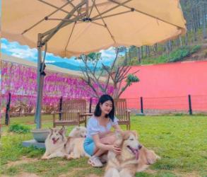 Ô dù lệch tâm là gì và tại sao nhiều người chọn dù lệch tâm?